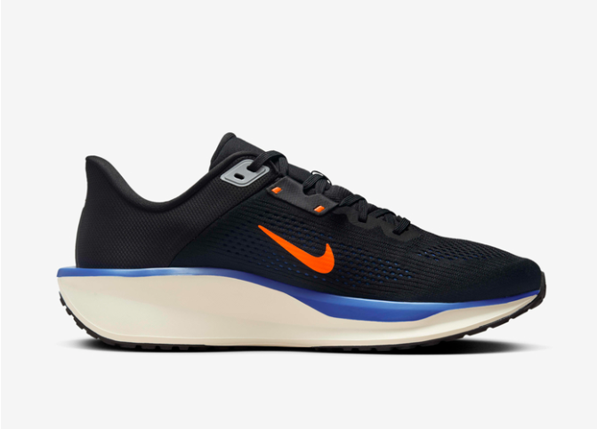 Tênis Nike Quest 6_